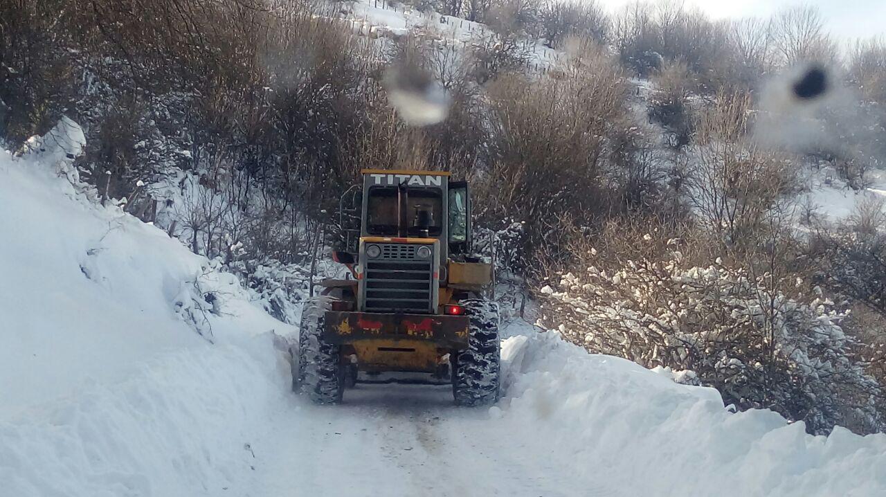 12 خانوار روستای 