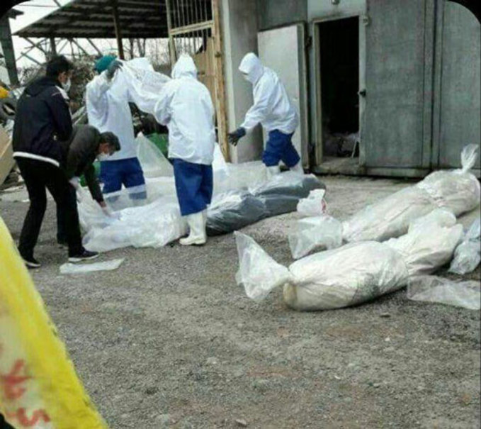 آقای روحانی! کرونا از پروتکل شما می ترسد؟ / با دستور عجیب شما فاجعه انسانی رقم می خورد آقای روحانی! کرونا از پروتکل شما می ترسد؟ / با دستور عجیب شما فاجعه انسانی رقم می خورد