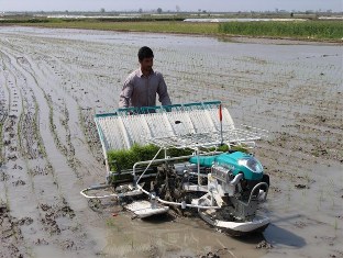 پرداخت تسهیلات برای خرید ماشینآلات و تجهیزات پیشرفته کشاورزی پرداخت تسهیلات برای خرید ماشینآلات و تجهیزات پیشرفته کشاورزی