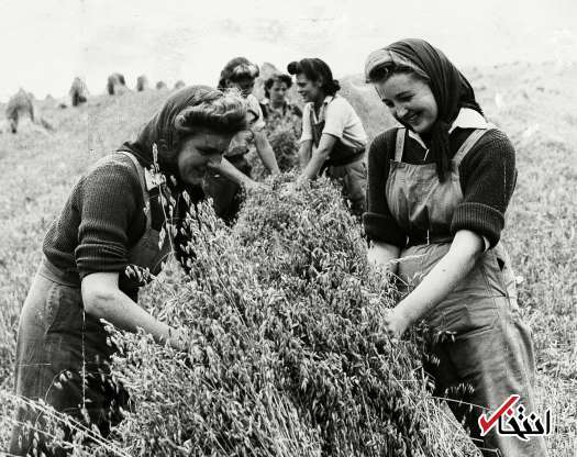 عکسهایی کمیاب از حضور زنان در جنگ جهانی دوم / از ساخت تسلیحات تا حضور مادربزرگها در کارخانهها عکسهایی کمیاب از حضور زنان در جنگ جهانی دوم / از ساخت تسلیحات تا حضور مادربزرگها در کارخانهها