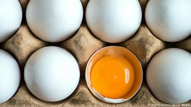 قیمت هر کیلو تخم مرغ برای مصرف کننده ۱۶ هزار و ۹۰۰ تومان