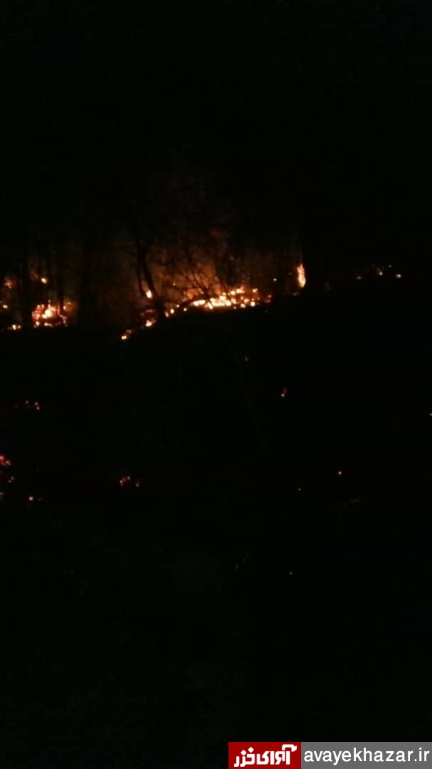 آتش سوزی پراکنده در جنگل «ولادیمه» نکا/تاکنون 3 هکتار از جنگل ولادیمه در آتش سوخت