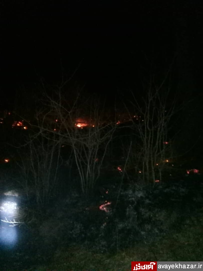 آتش سوزی پراکنده در جنگل «ولادیمه» نکا/تاکنون 3 هکتار از جنگل ولادیمه در آتش سوخت