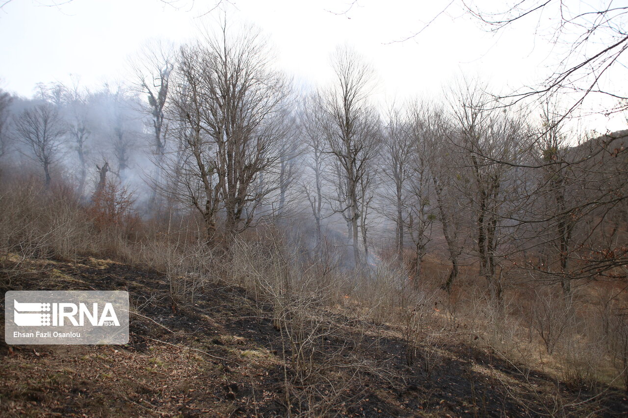 تصاویر: آتش سوزی جنگل شهرستان نکا در مازندران