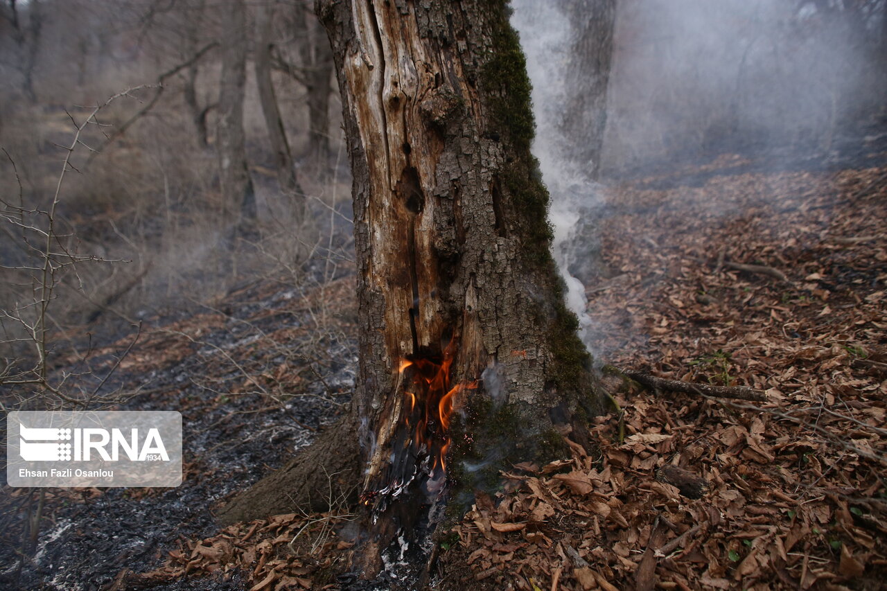 تصاویر: آتش سوزی جنگل شهرستان نکا در مازندران