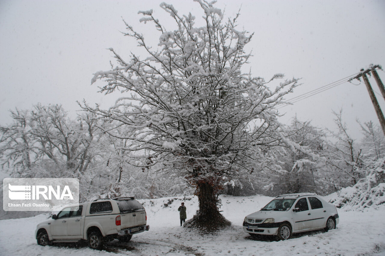 تصاویر: بارش برف در جاده های گلستان و مازندران