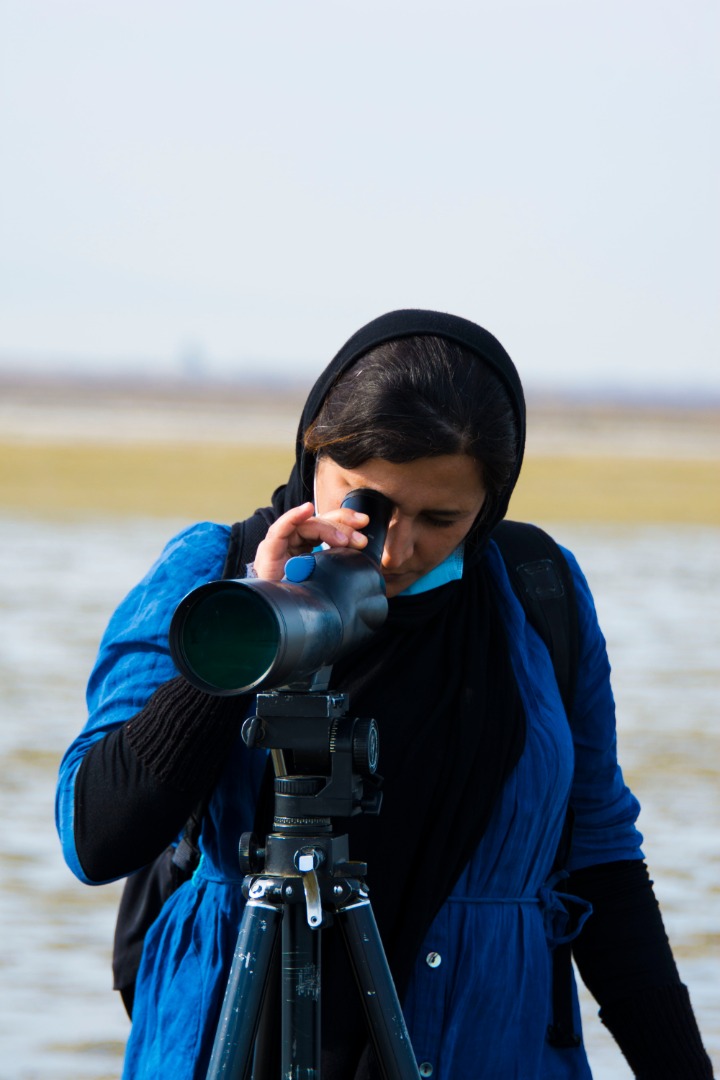 میانکاله در محاصره میانکاله در محاصره
