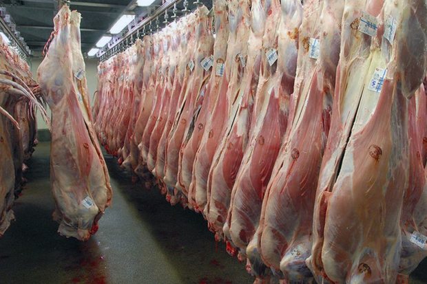 تولید سالانه ۸۵۰ هزار تن گوشت قرمز
