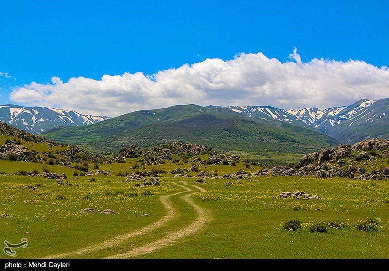 تصاویر: طبیعت بهاری منطقه ارسباران