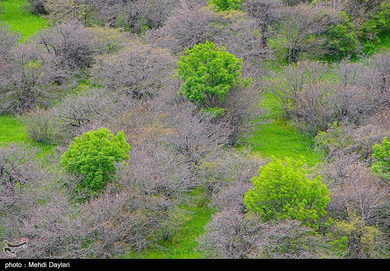 تصاویر: طبیعت بهاری منطقه ارسباران