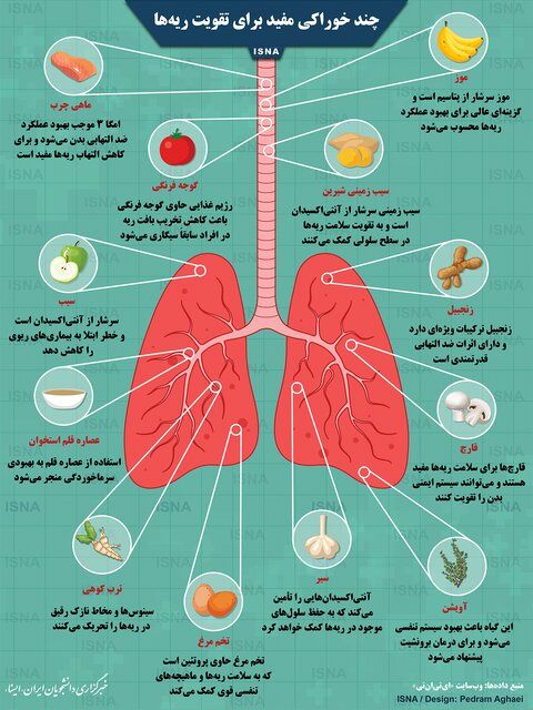 چند خوراکی مفید برای تقویت ریه‌ها/ اینفوگرافیک