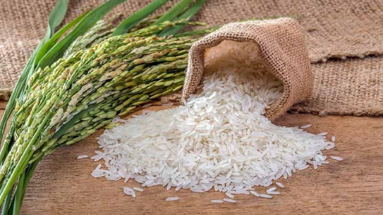کشاورزان خواستار ممنوعیت واردات برنج