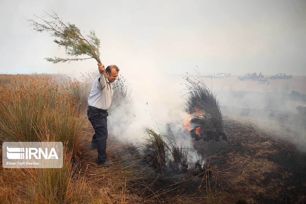 تصاویر: آتش سوزی در میانکاله
