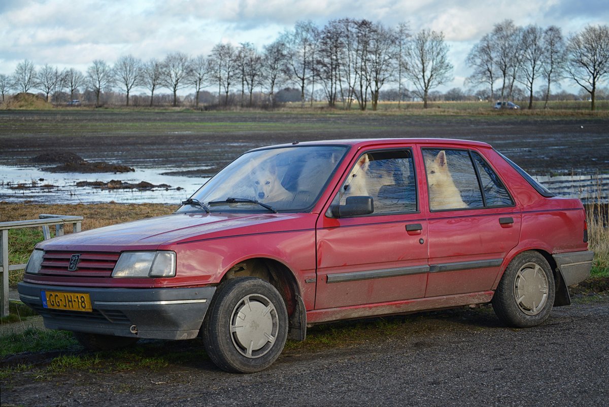 alice-van-kempen-the-shepherd_family-road-trip