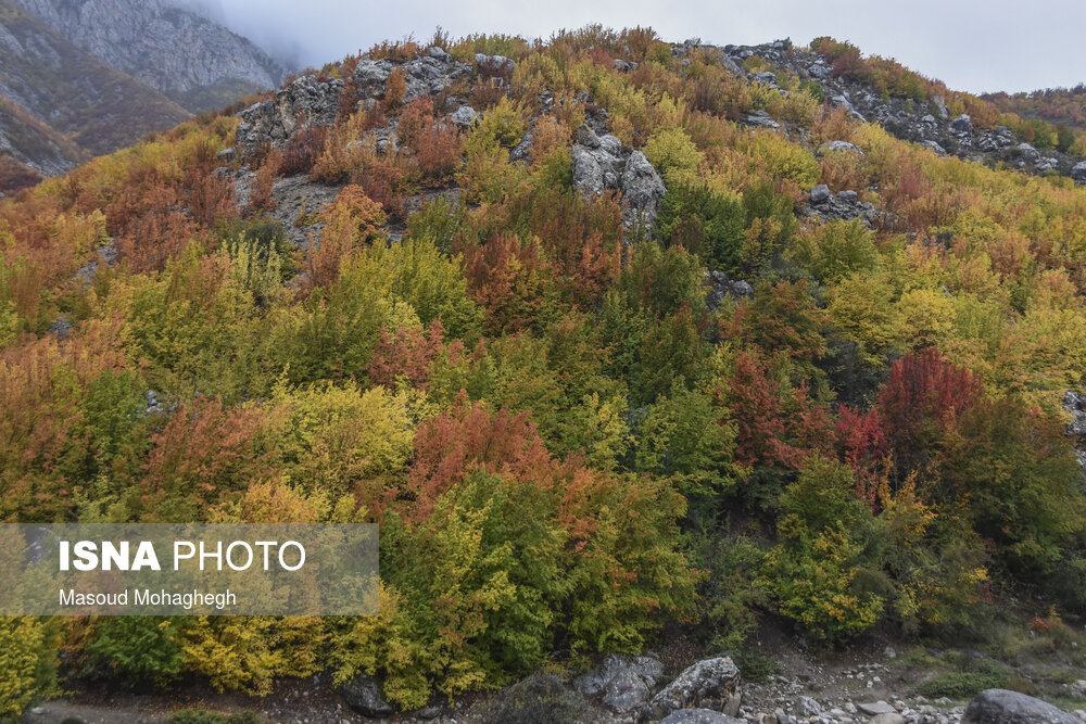 تصاویر: رنگ آمیزی پاییز در «پرور»