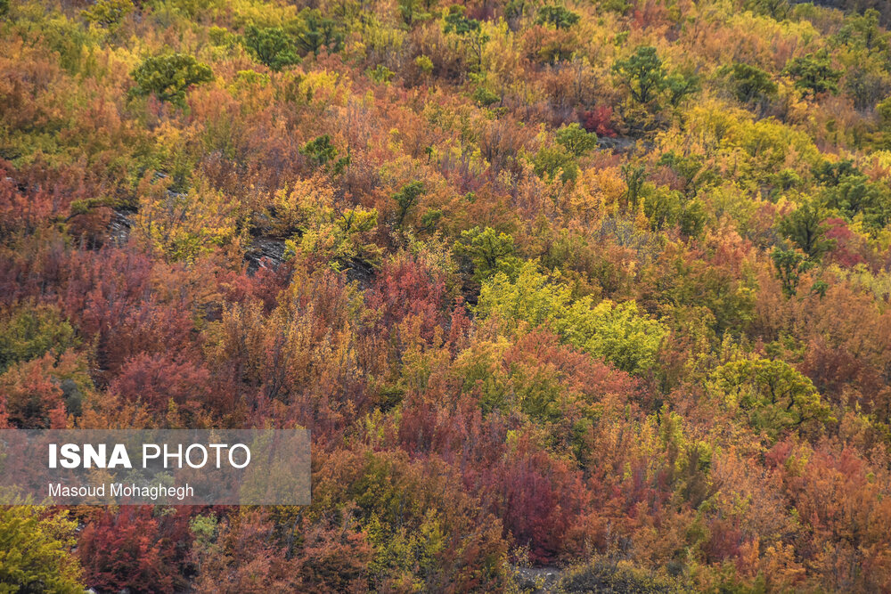 تصاویر: رنگ آمیزی پاییز در «پرور»