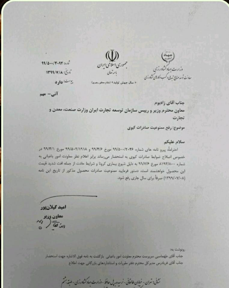 ممنوعیت صادرات کیوی لغو شد+سند
