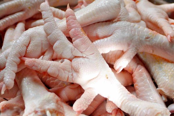 دانستنی هایی در مورد خوردنیها و نخوردنیهای مرغ دانستنی هایی در مورد خوردنیها و نخوردنیهای مرغ