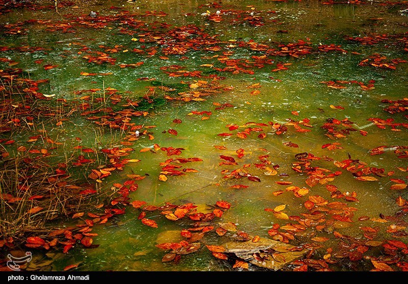 طبیعت پاییزی بهشهر مازندران