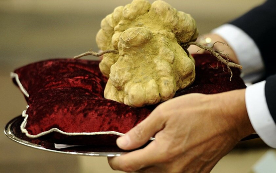 گرانترین غذاهای دنیا گرانترین غذاهای دنیا