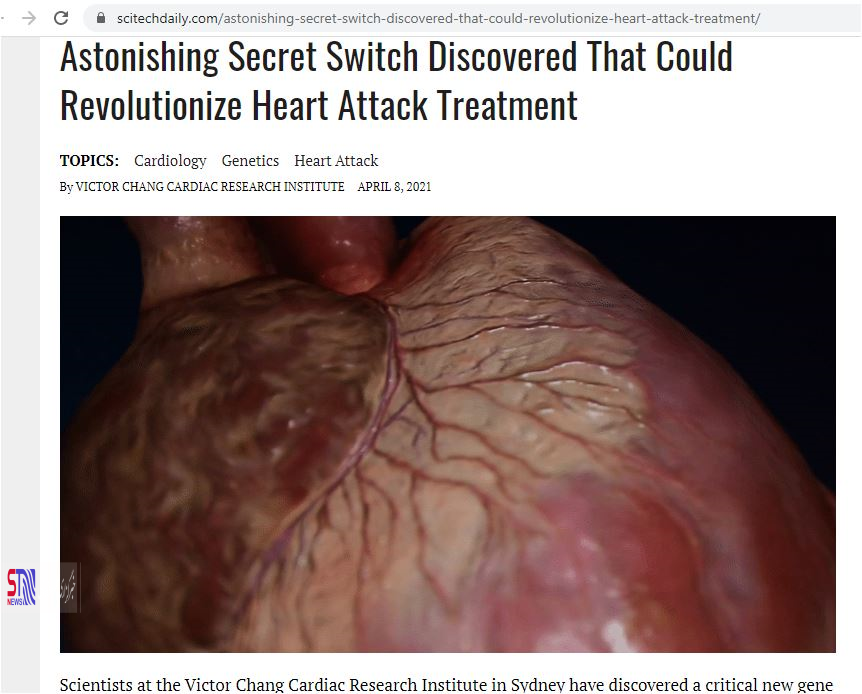 سوئیچ مخفی درمان سکته قلبی کشف شد!