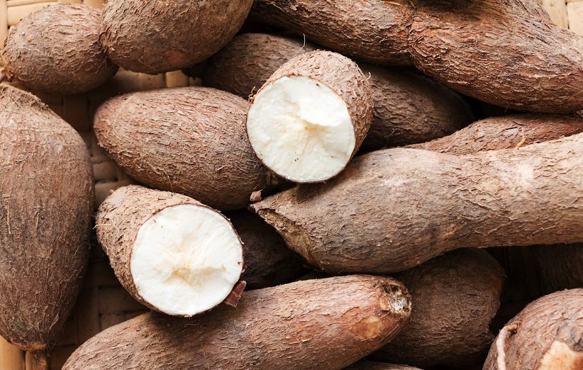 مسمومترین غذاهای جهان را بشناسید 10 تا از مسموم ترین غذاهای جهان یا کشنده ترین و خطرناک ترین خوراکی های دنیا