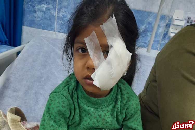حمله سگ ولگرد به دختربچه در بهشهر