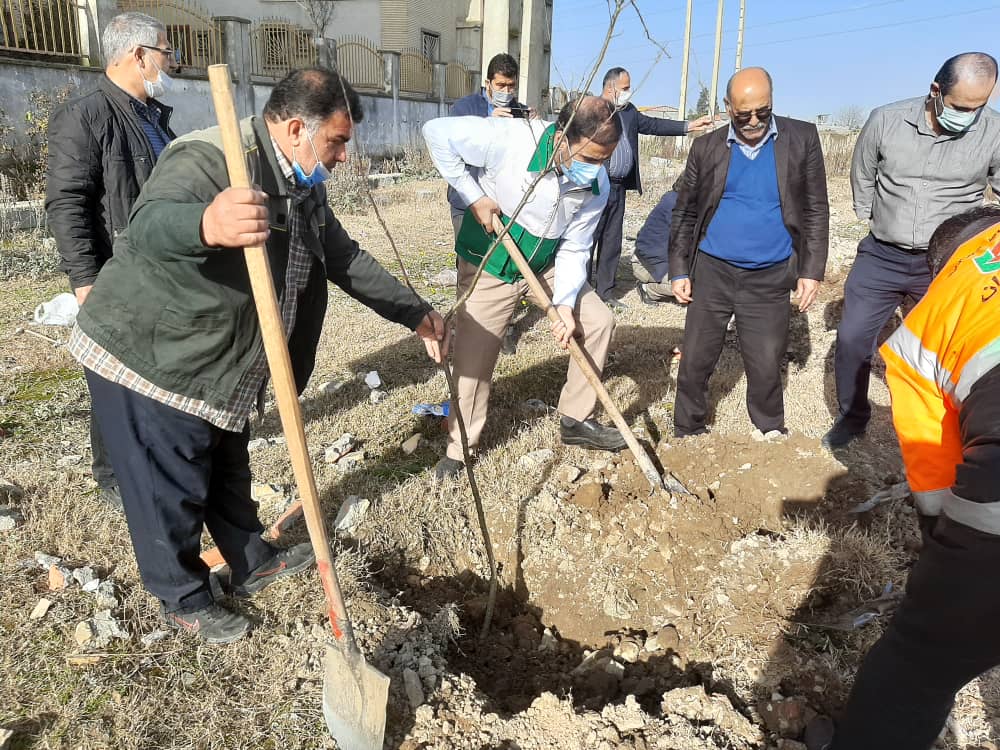 کاشت ۲۷۰۰ اصله نهال در محورهای مواصلاتی شهرستان آمل