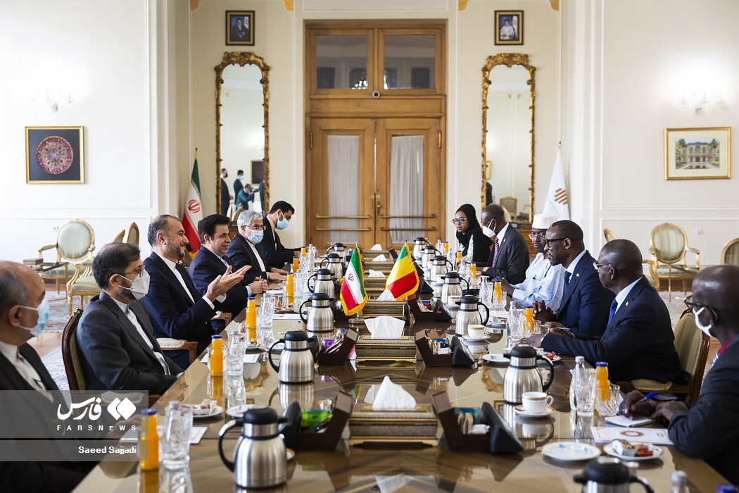 دیدار حسین امیرعبداللهیان و عبدالله جوپ وزیر امور خارجه مالی