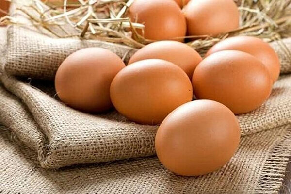 مواد غذایی که تمام ویتامینهای ضروری بدن را دارند