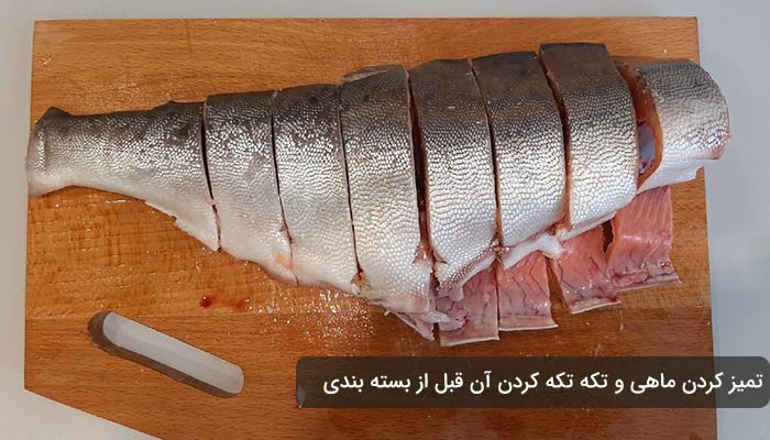 روشهای نگهداری گوشت ماهی در منزل روشهای نگهداری گوشت ماهی در منزل