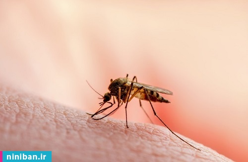 تقدیر سازمان جهانی بهداشت از ایران به دلیل کنترل مالاریا