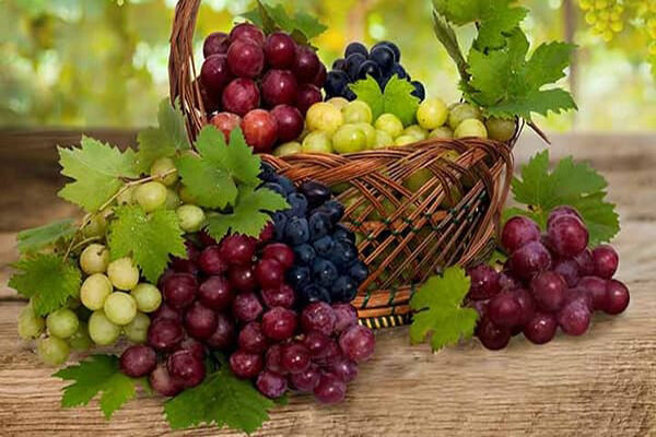بهترین مواد غذایی که به سلامت کبد کمک میکنند