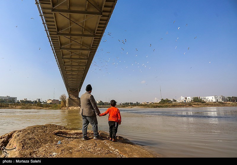 پرندگان مهاجر در رودخانه کارون اهواز