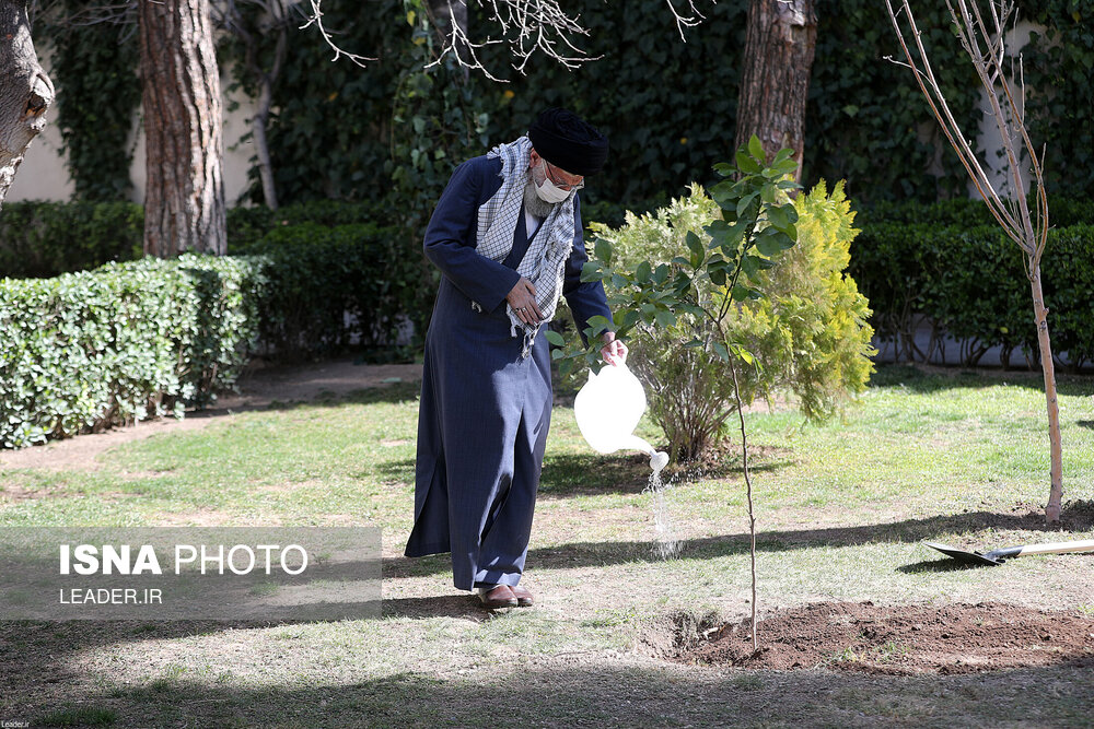 تصاویر: کاشت نهال توسط مقام معظم رهبری به مناسبت روز درختکاری