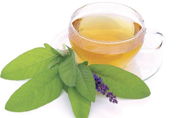 ۱۰ دمنوش گیاهی موثر برای پاکسازی ریهها