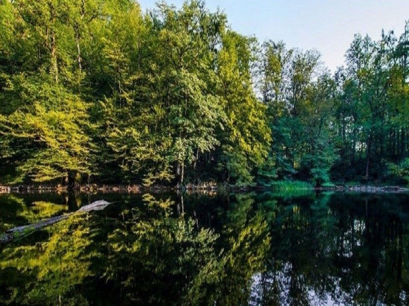 دریاچههای زیبای اطراف آمل را بشناسید دریاچههای زیبای اطراف آمل را بشناسید
