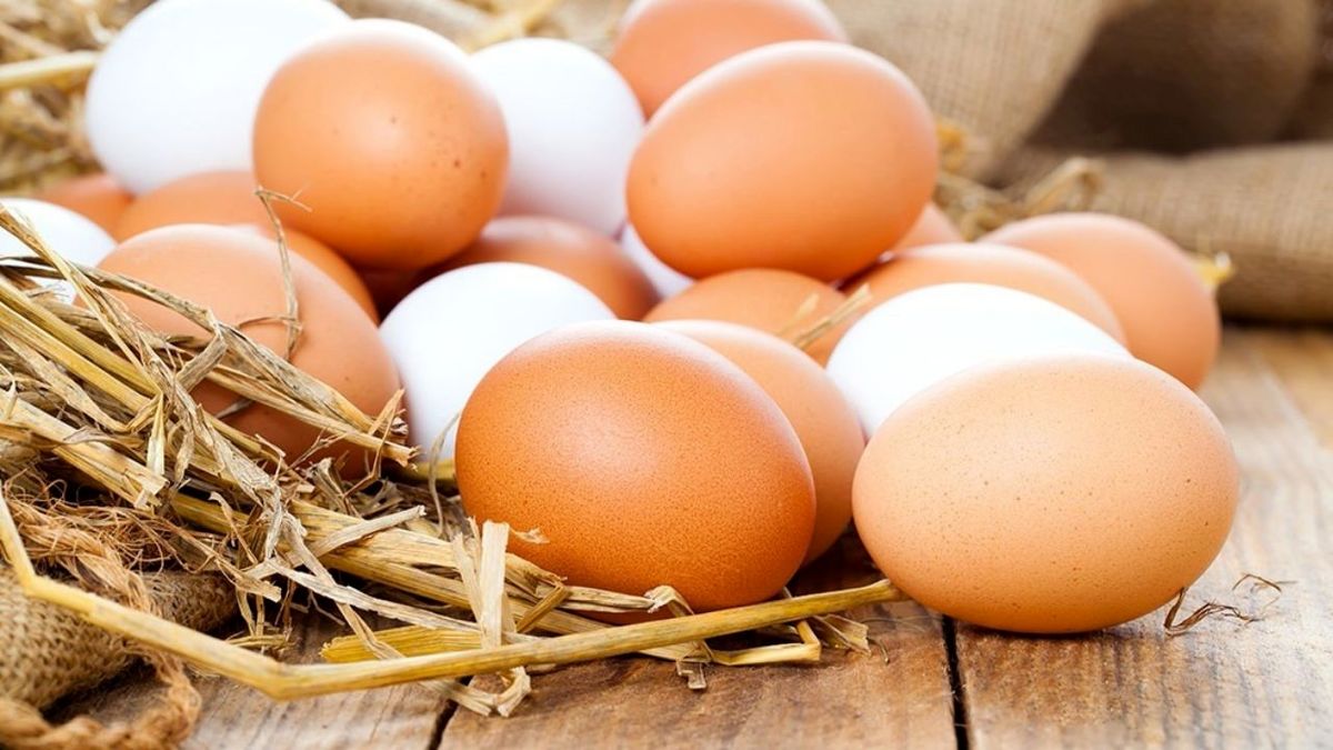 حداکثر قیمت هر شانه تخم‌مرغ چقدرشد؟