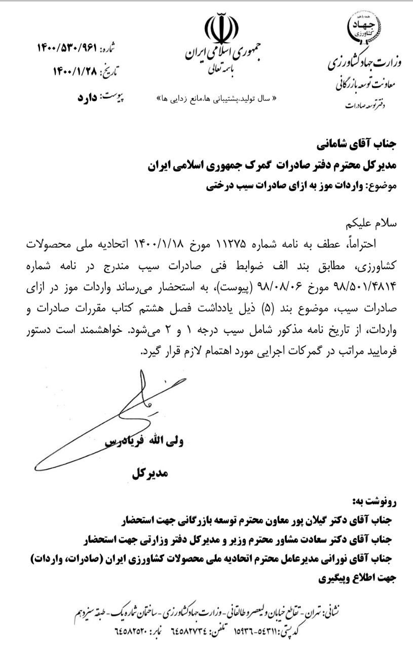 صادرات سیب در ازای واردات موز آزاد شد صادرات سیب در ازای واردات موز آزاد شد