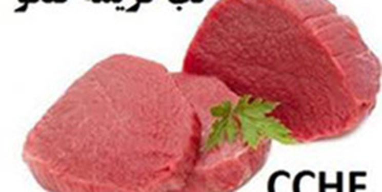 خطر بیماری تب کنگو با افزایش گرما خطر بیماری تب کنگو با افزایش گرما