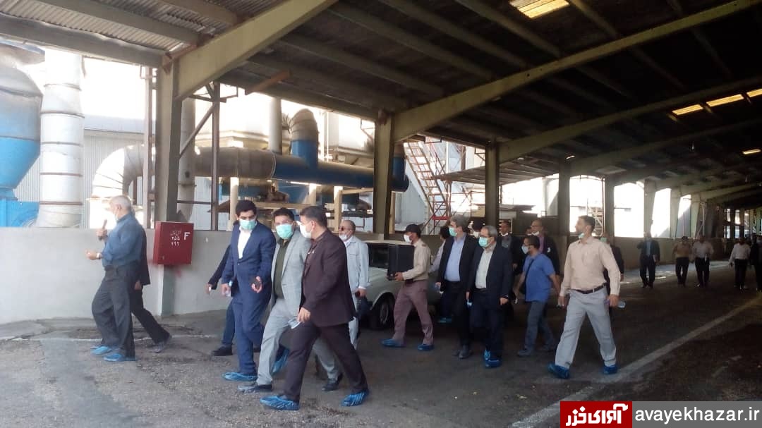 افزایش قیمت پروتئین سویا متأثر از افزایش دانههای روغنی است افزایش قیمت پروتئین سویا متأثر از افزایش دانههای روغنی است