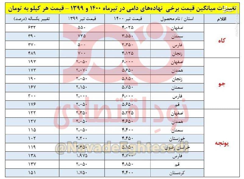 جو و یونجه چند درصد گران شد؟