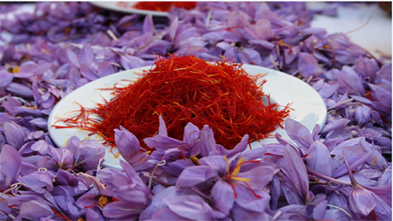 طلای سرخ گران شد طلای سرخ گران شد