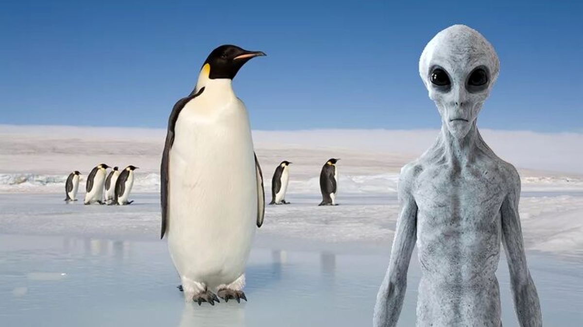 آیا واقعا پنگوئن‌ها همان آدم فضایی‌ها هستند؟