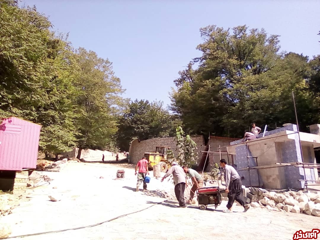 پارک جنگلی پارک جنگلی