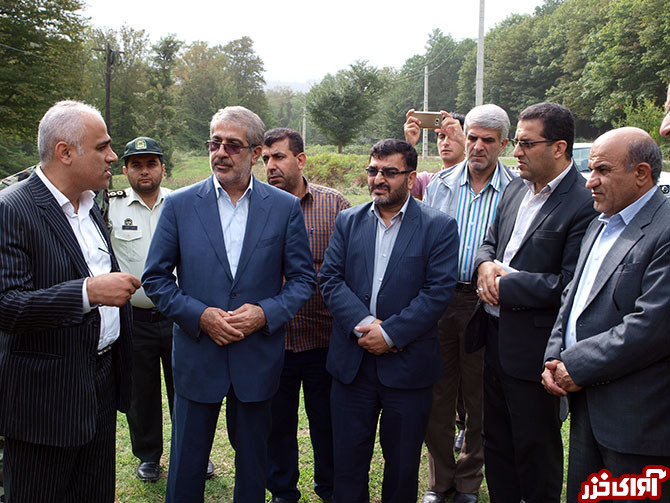 پارک جنگلی پارک جنگلی