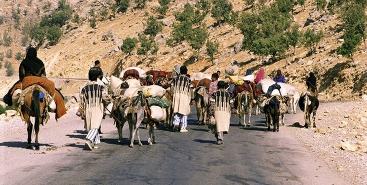 صادرات دام از کشور آغاز می‌شود