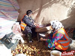 پیش‌بینی برداشت 14 هزار تن انار اشرف در مازندران/ تولید 60 درصد ارقام انار در بهشهر