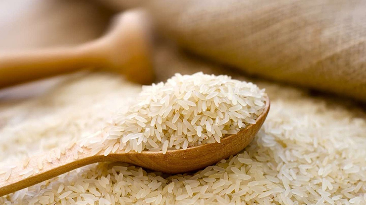 برنج ارزان می شود برنج ارزان می شود