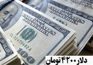 ارز ۴۲۰۰تومانی مانع افزایش قیمت کالاها نشد ارز ۴۲۰۰تومانی مانع افزایش قیمت کالاها نشد
